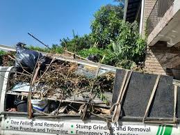 Best Attic Cleanout  in Rosenberg, TX